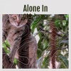 Joey Stebanuk - Alone In Oklahoma