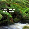 Natural Sounds Selections、Zen Sounds、Nature Sound Collection - Crickets By The Water