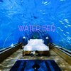 THE STARR - WATER BED (Explicit)