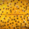 Noah James Shebib、Nana Bediako Rogues、Shelly Sony、Aubrey Drake Graham - Passionfruit