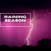 Natural Sounds Selections、Zen Sounds、Nature Sound Collection - Forest Rain Sounds