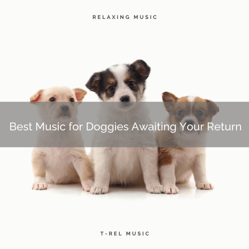Calm Pets Music Academy、Sleep Doggie - Best Music for Doggies Awaiting Your Return