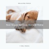 Relax My Dog Music、Happy Dogs And Cats - Best Waves for Dogs Alone at Home
