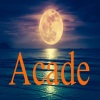 Tendencia - Acade French