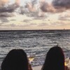 　青鹿 - 董小姐