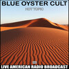 Blue Öyster Cult - Cities On Flame With Rock & Roll (Live)