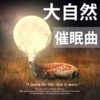 音音 - 大自然之声 自然丨助眠海浪