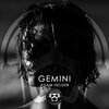 Adam Helder - Gemini