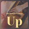 Carlos Estella - Ethereal Tin Whistle