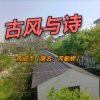 成成 - 丝绸 (古琴版)
