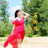 李红 - 写回忆