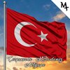 MT - Çırpınırdı Karadeniz Altyapı