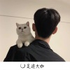 Along、沈皓晨 - 现实小伙