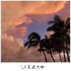 听风人 - Pao de Queijo 版