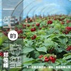 郑俊峰 - 一生的守望
