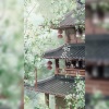 獨立小橋風滿秀 - 姑苏城