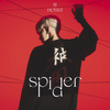 Zeddy - Spider