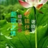 乡村布依 - 醉了红尘醉了心 (伴奏)