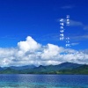 莫小洛 - 爱难求情难断 (奶音版)
