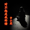 申小虎 - 对不起是我的错