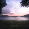 lewloh、Lewis Loh Zhi Hou、Vishaal Giri Raj - carelessly killed
