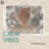 Calm Vibes《Warmth》[MP3/LRC]