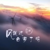 王玖 - 风飘过云海了吗