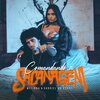 DJ Gabriel do Borel、Melinna - Comandando a Sacanagem (Explicit)