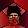 Anonimari - +Isolation (Explicit)