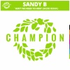 BK298、Sandy B《Ain't No Need To Hide (BK298 Extended Remix)》[MP3/LRC]