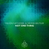 Dillon Nathaniel、Dennis Beutler - Not One Thing (Original Mix)