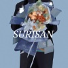 Surisan《Where have you gone (TBM DJ Radio Edit)》[MP3/LRC]