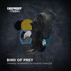 Thomas Schwartz、Fausto Fanizza - Bird Of Prey