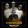 Thama Tee、P-Jay、Cebo、Lerumo - eTshwaleni (feat. Cebo & Lerumo)