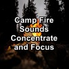 Yoga Master、Yoga Shala、Yoga & Meditation《Fire Crackling Sounds For Concentration Christmas Campfire》[MP3/LRC]