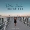 Little Chaos - Water Under The Bridge