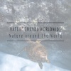 Nature Sounds Worldwide - Calming Summer Rain