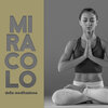 Meditazione Zen Musica - La ricerca
