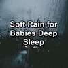 Nature Recordings、Sounds of Nature White Noise Sound Effects、Nature Spirit - Gentle Rain For Peace To Loop for 10 Hours