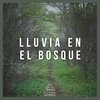 Lluvia del Bosque - Lluvia en el Bosque, Pt. 01