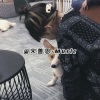 宋善恩 - 安守本分 (DJ弹鼓版)