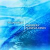 Tigerforest、Eskadet - Karukera (Planesia Remix)