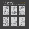 Dubee Sohn - Toccate e partite d'intavolatura, Libro 2: No. 2, Toccata seconda, F 3.02