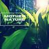 Natural Sounds Selections、Zen Sounds、Nature Sound Collection - Rain Surround Sound