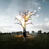 Gracelands、Frame - FIRE (Explicit)