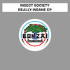 Insect Society - 16 Hours