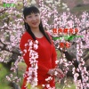 李红 - 我的桃花乡