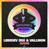 Lebedev、Vallmon - Auvrie (Original Mix)