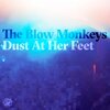 the blow monkeys - Dust At Her Feet