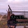 Kalou - The Thin Line